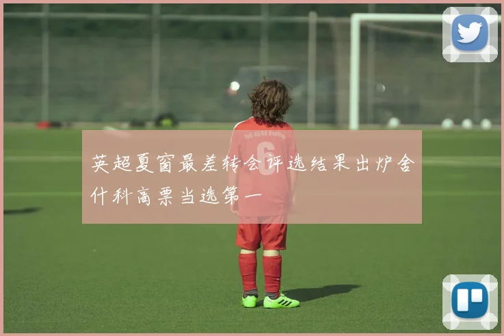 英超夏窗最差转会评选结果出炉舍什科高票当选第一