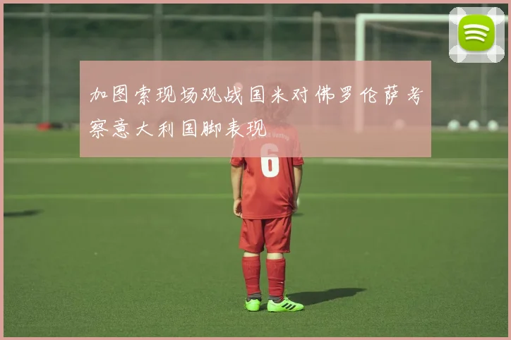 加图索现场观战国米对佛罗伦萨考察意大利国脚表现