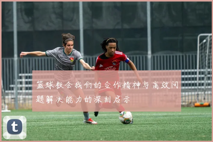 篮球教会我们的合作精神与高效问题解决能力的深刻启示